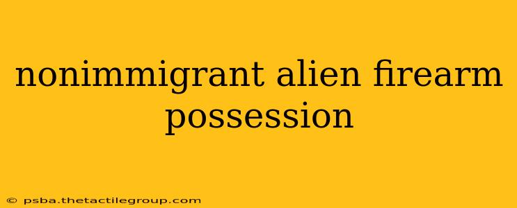 nonimmigrant alien firearm possession