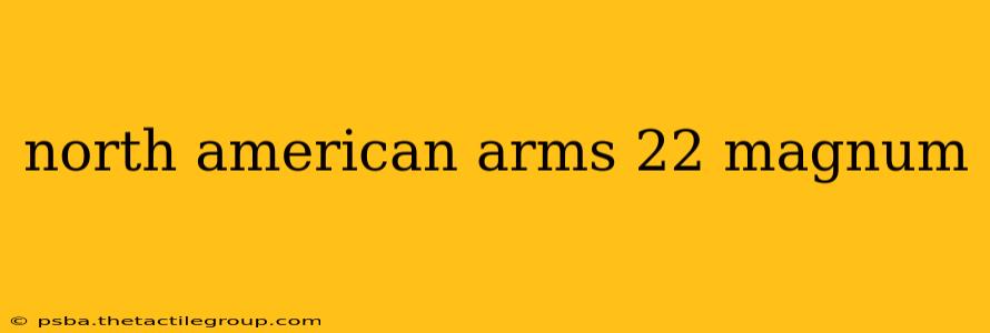 north american arms 22 magnum