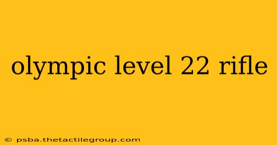 olympic level 22 rifle