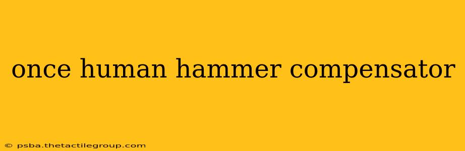 once human hammer compensator