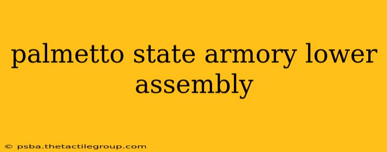 palmetto state armory lower assembly