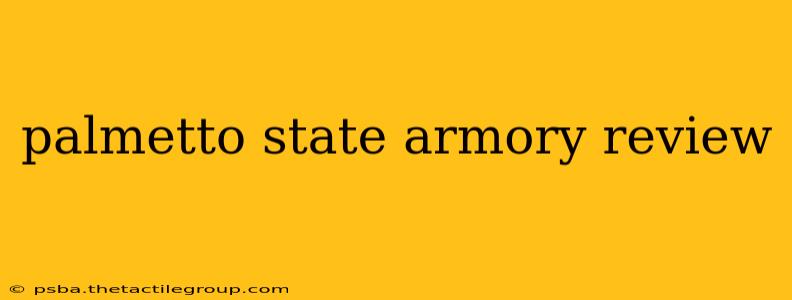 palmetto state armory review