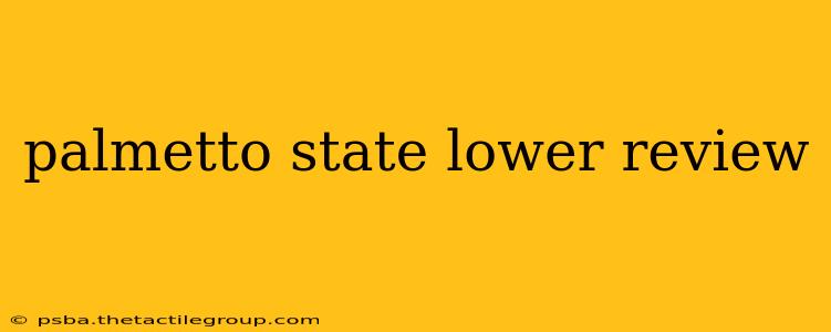 palmetto state lower review