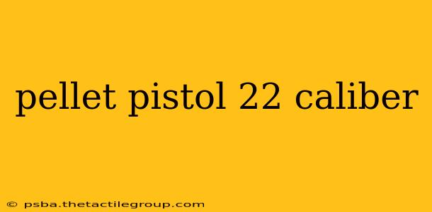 pellet pistol 22 caliber