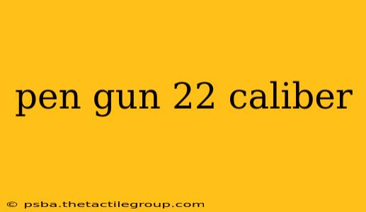 pen gun 22 caliber