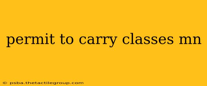 permit to carry classes mn