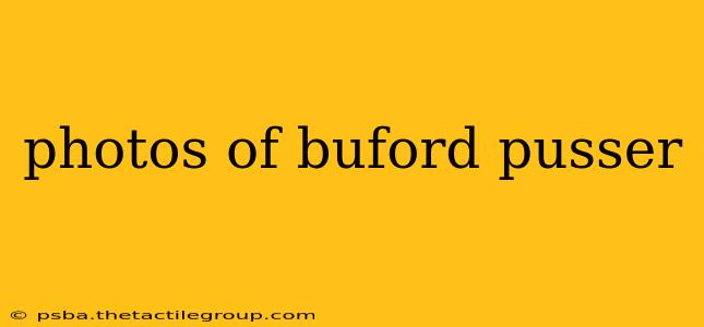 photos of buford pusser