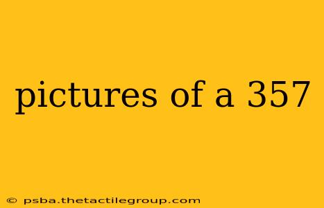 pictures of a 357