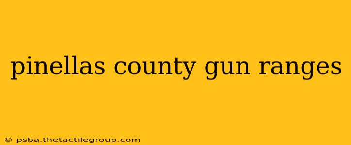 pinellas county gun ranges