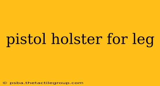 pistol holster for leg