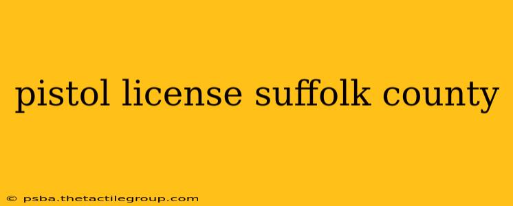 pistol license suffolk county