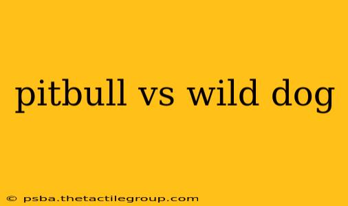 pitbull vs wild dog