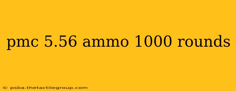 pmc 5.56 ammo 1000 rounds