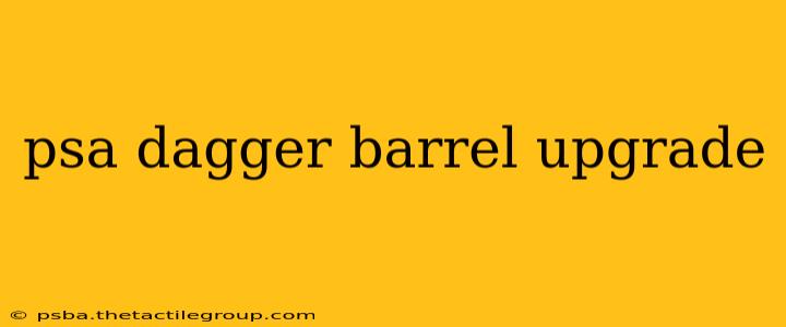 psa dagger barrel upgrade