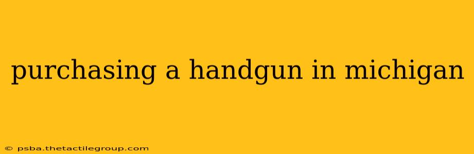 purchasing a handgun in michigan