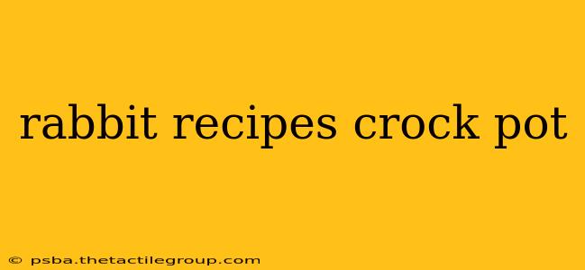 rabbit recipes crock pot