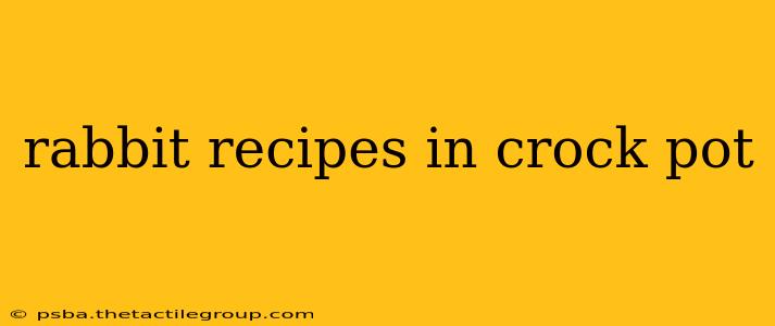 rabbit recipes in crock pot