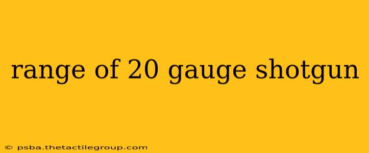 range of 20 gauge shotgun