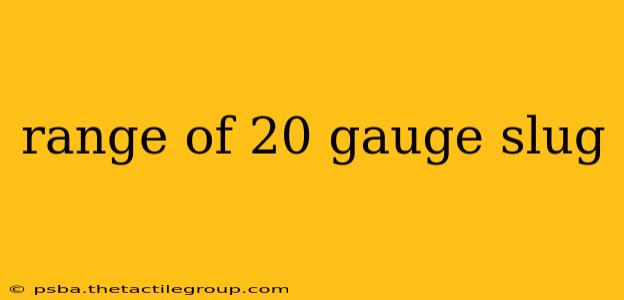 range of 20 gauge slug