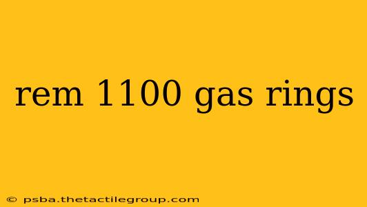 rem 1100 gas rings