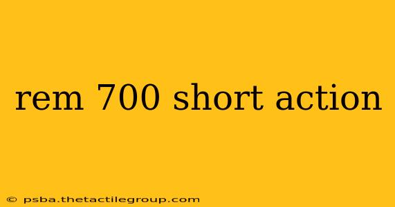 rem 700 short action