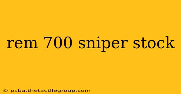 rem 700 sniper stock