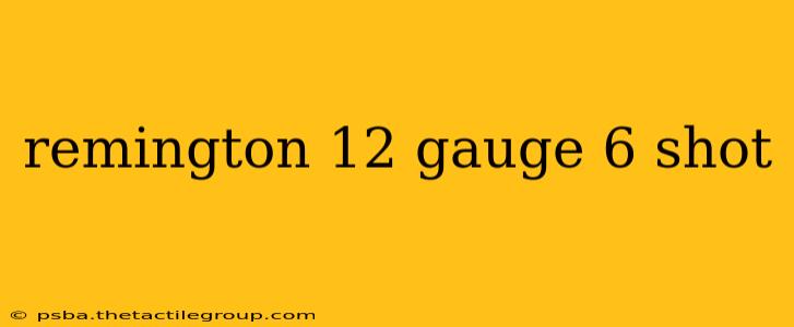 remington 12 gauge 6 shot