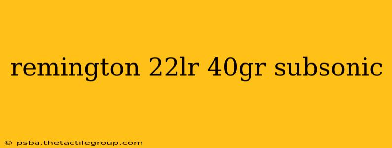 remington 22lr 40gr subsonic