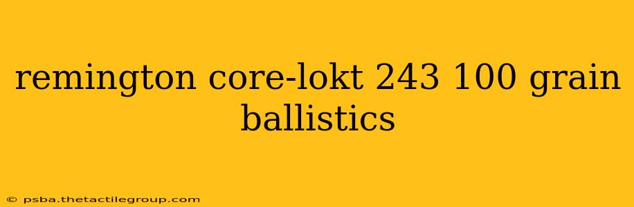 remington core-lokt 243 100 grain ballistics