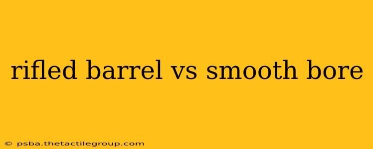 rifled barrel vs smooth bore