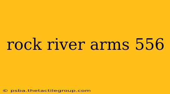 rock river arms 556