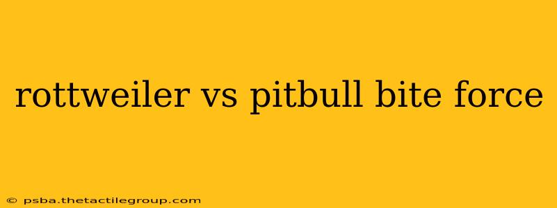 rottweiler vs pitbull bite force