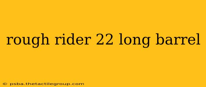 rough rider 22 long barrel