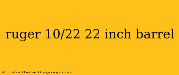 ruger 10/22 22 inch barrel