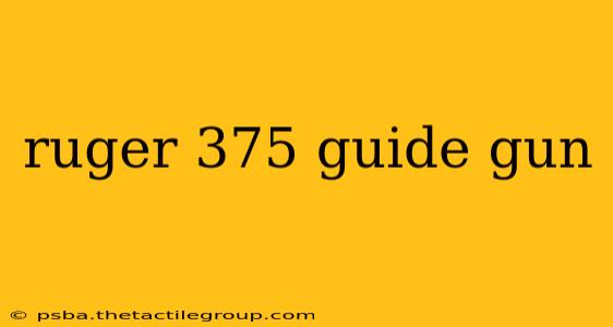 ruger 375 guide gun