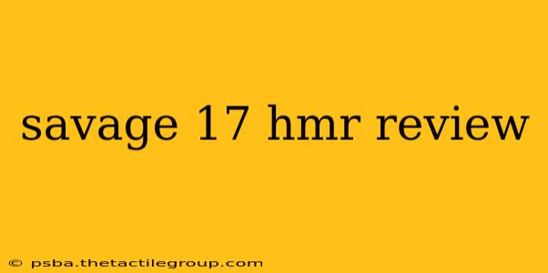 savage 17 hmr review