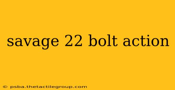 savage 22 bolt action