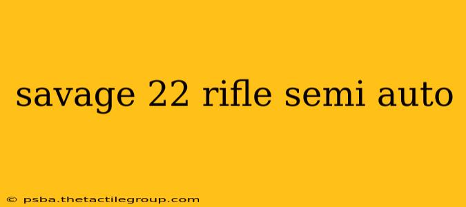 savage 22 rifle semi auto