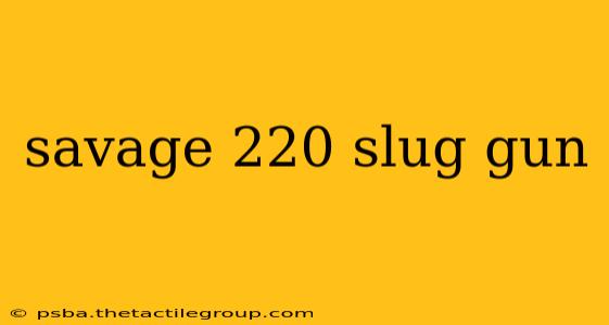 savage 220 slug gun