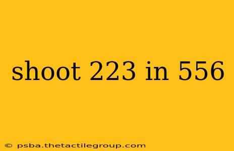 shoot 223 in 556