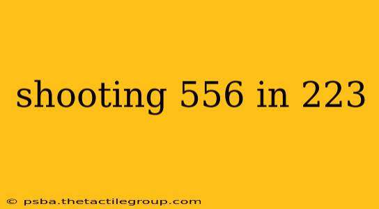 shooting 556 in 223