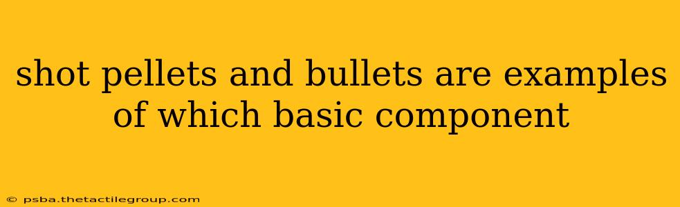 shot pellets and bullets are examples of which basic component