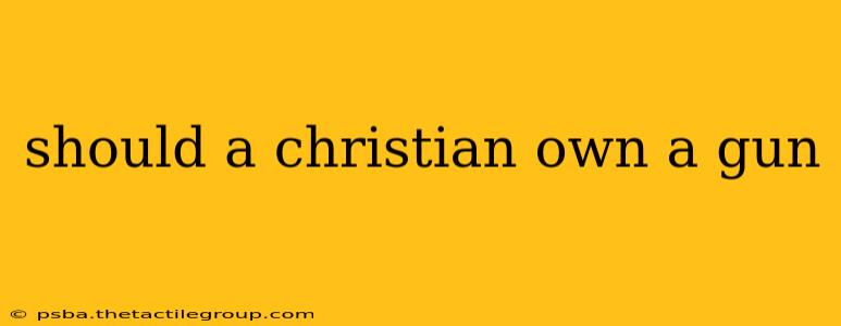 should a christian own a gun