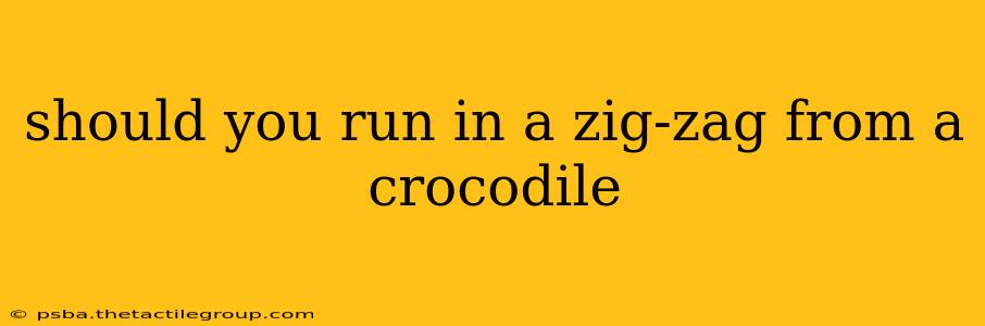 should you run in a zig-zag from a crocodile