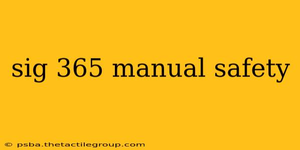 sig 365 manual safety