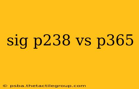 sig p238 vs p365