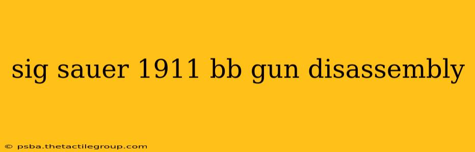 sig sauer 1911 bb gun disassembly