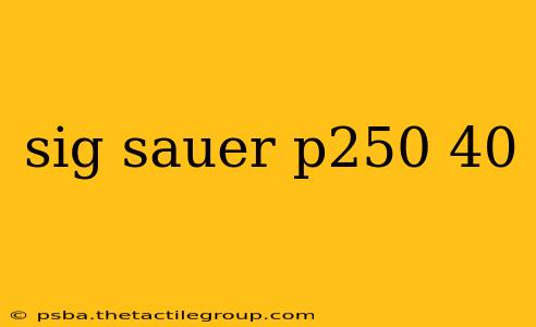 sig sauer p250 40