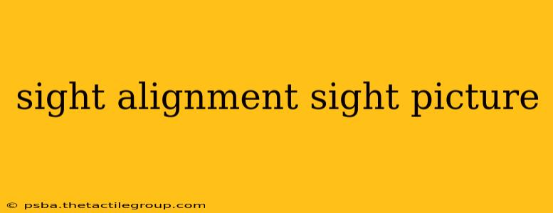 sight alignment sight picture