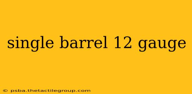 single barrel 12 gauge